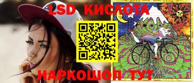 прущие крисы Краснознаменск