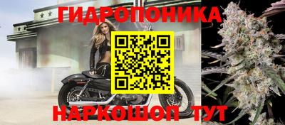 сатива Краснодар