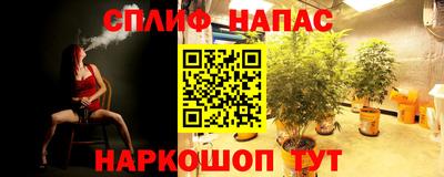 сатива Краснодар
