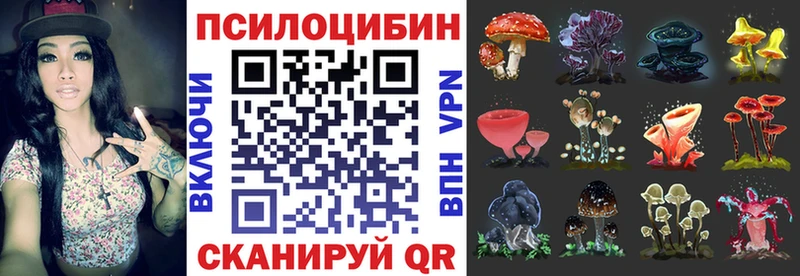 нарко площадка какой сайт  что такое наркотик  OMG ссылки  Керчь  Псилоцибиновые грибы MAGIC MUSHROOMS 