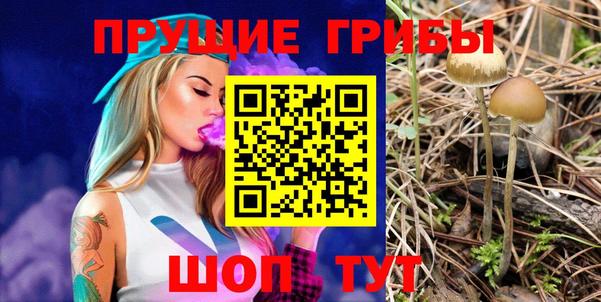 ГАШ Керчь